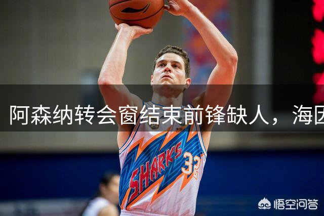 阿森纳转会窗结束前锋缺人，海因策曾试图接触劳塔罗